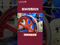 5m câble de chargeur de véhicule électrique 16A 32A TUV Sud certifié