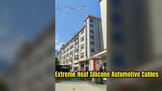 Introduction en usine de Dongguan Lianke Cable Technology Co., Ltd.