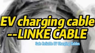 Tout ce que vous devez savoir sur les câbles de recharge pour véhicules électriques