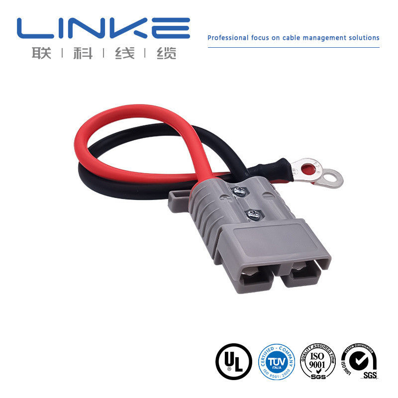 Connecteur de prise 8AWG câble de connecteur de panneau solaire 50A/600V Adaptateur de port d'annonces câble de connecteur solaire de 300 mm
