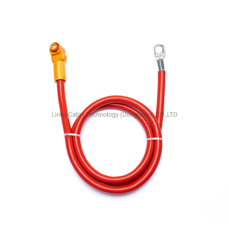 Cable de câble de câble industriel automobile OEM ODM Auto Molex Jst Connecteur Plug Cable de chargeur EV